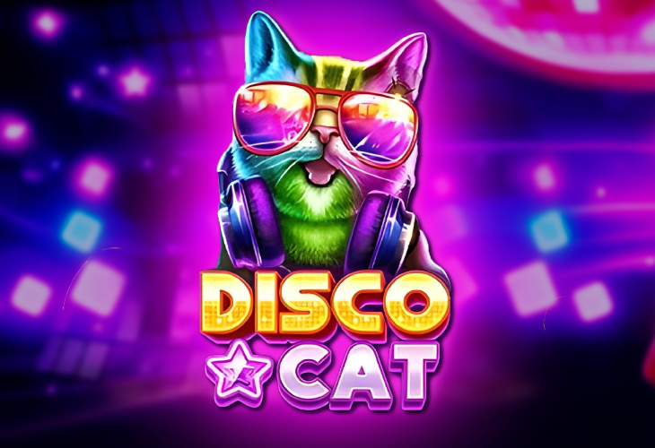Disco Cat